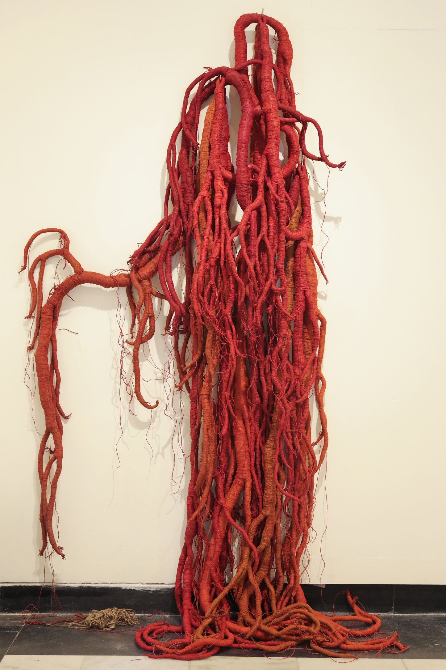 Roots