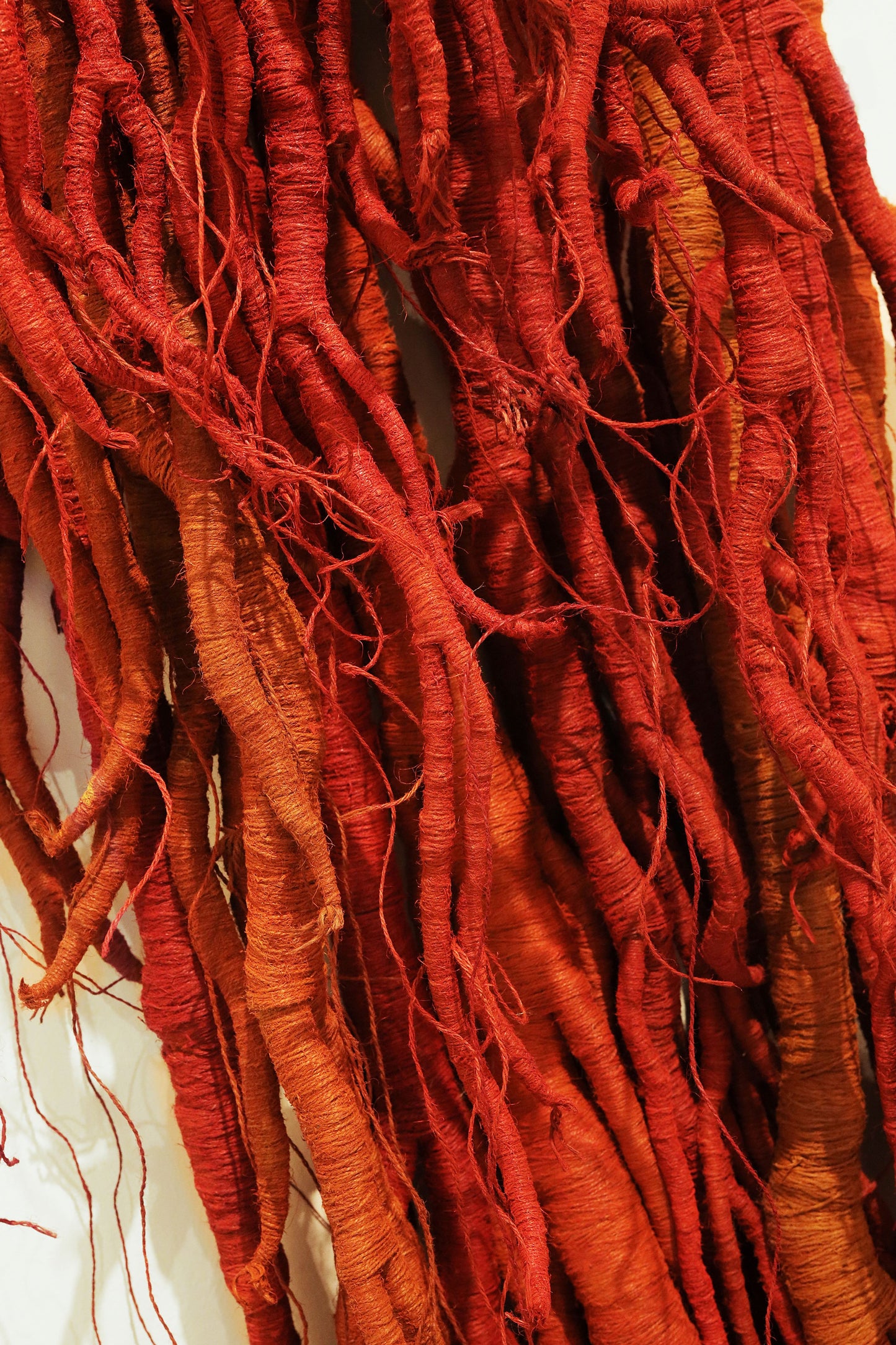 Roots