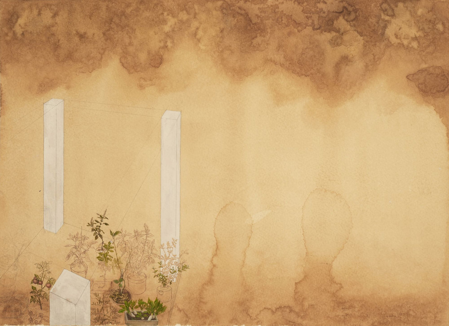 Moving And Growing Into