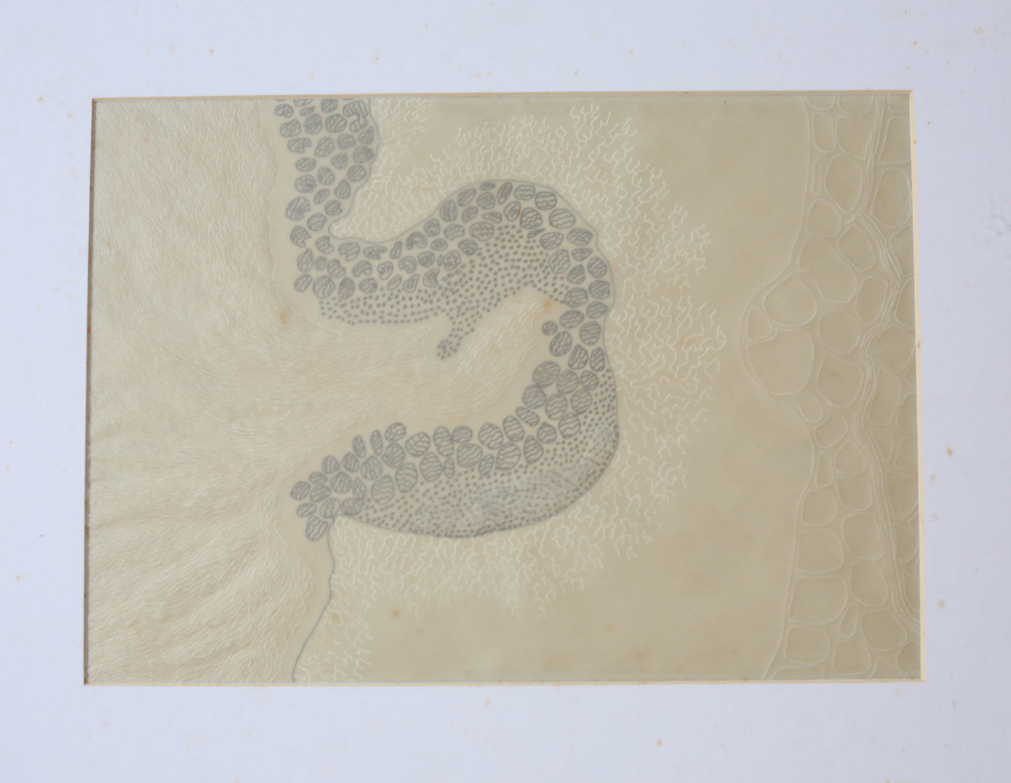 Membrane-56