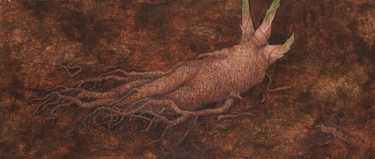 Even A Worm Will Turn