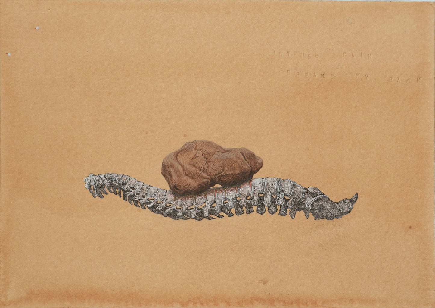 Silence In The Storm