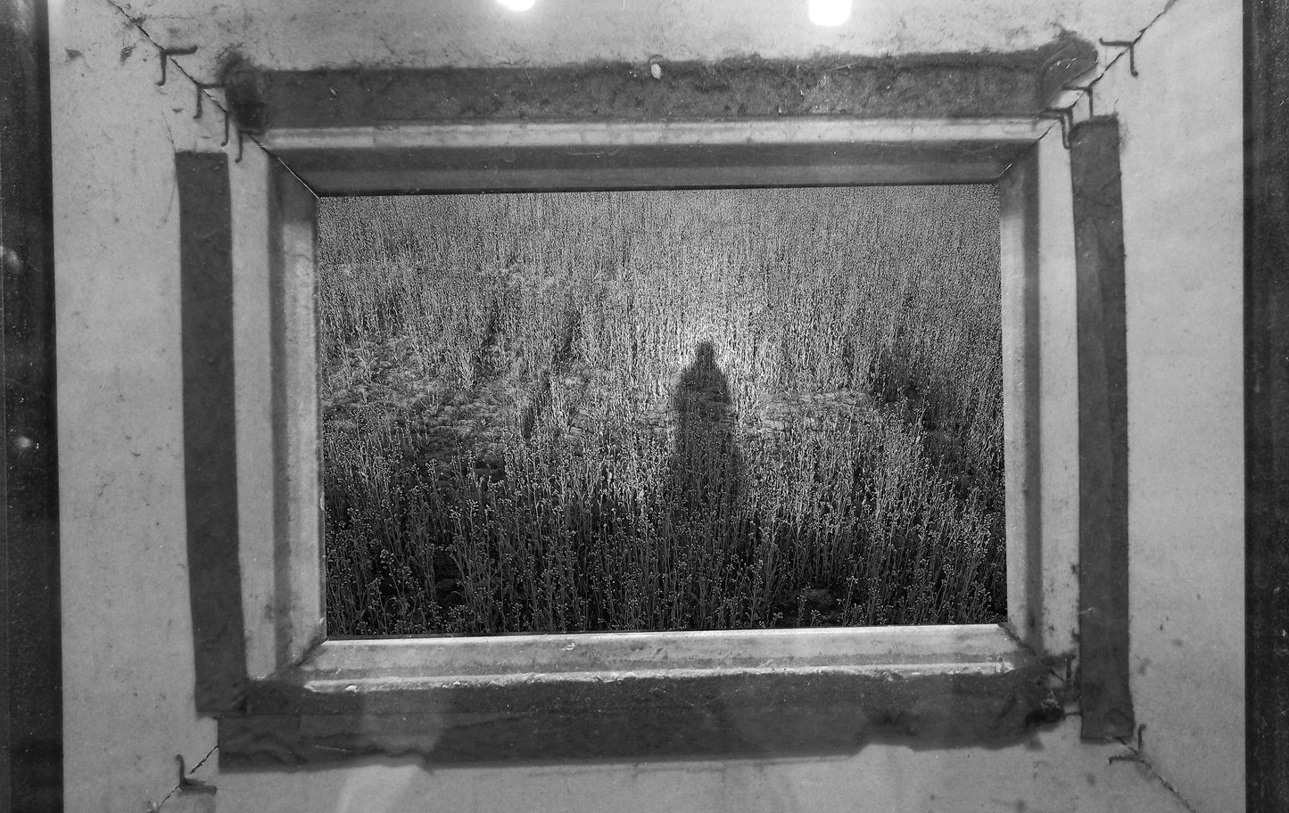 Daaera - III - Taskeen