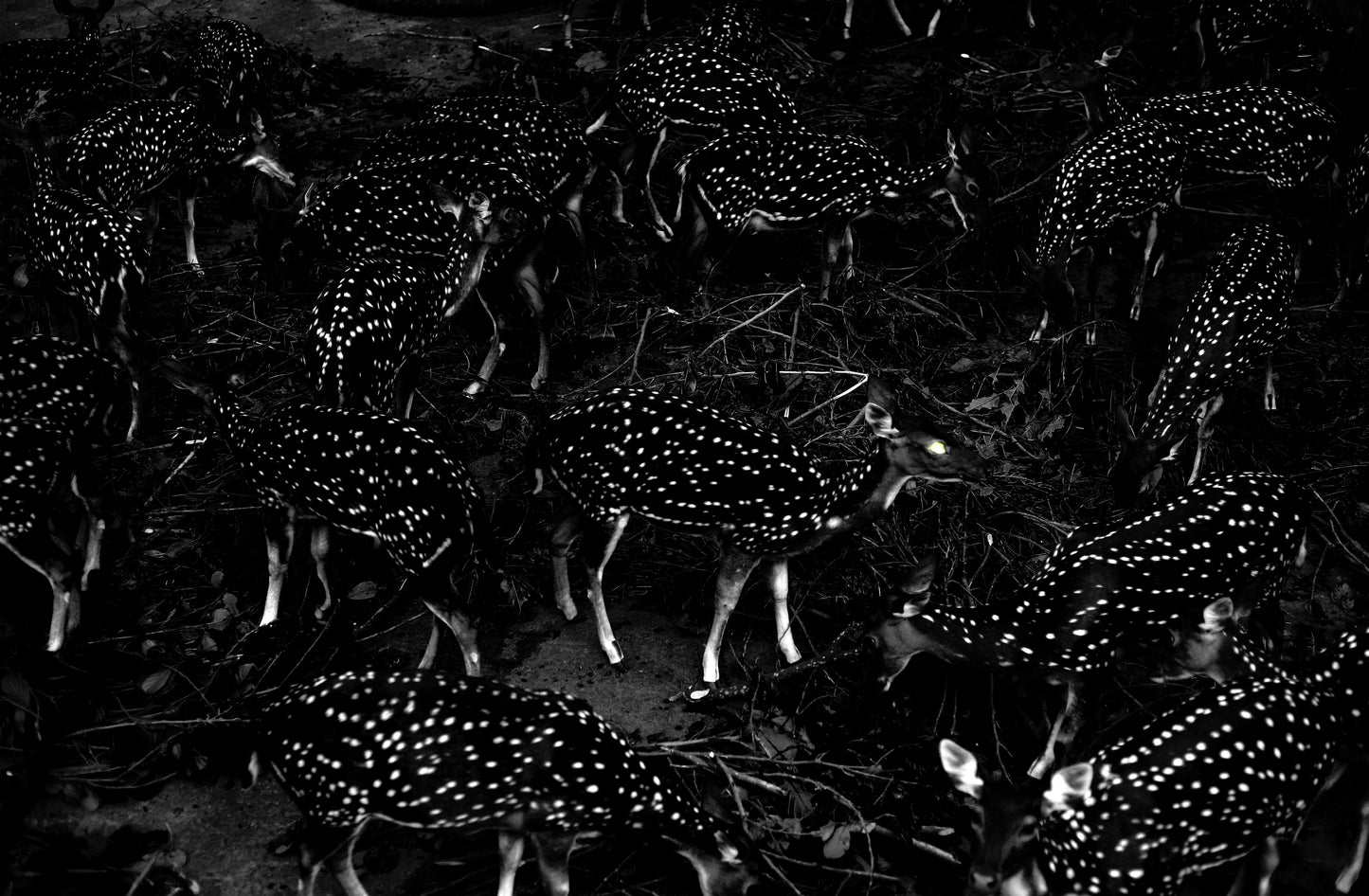 Daaera - IV - Mumtaz