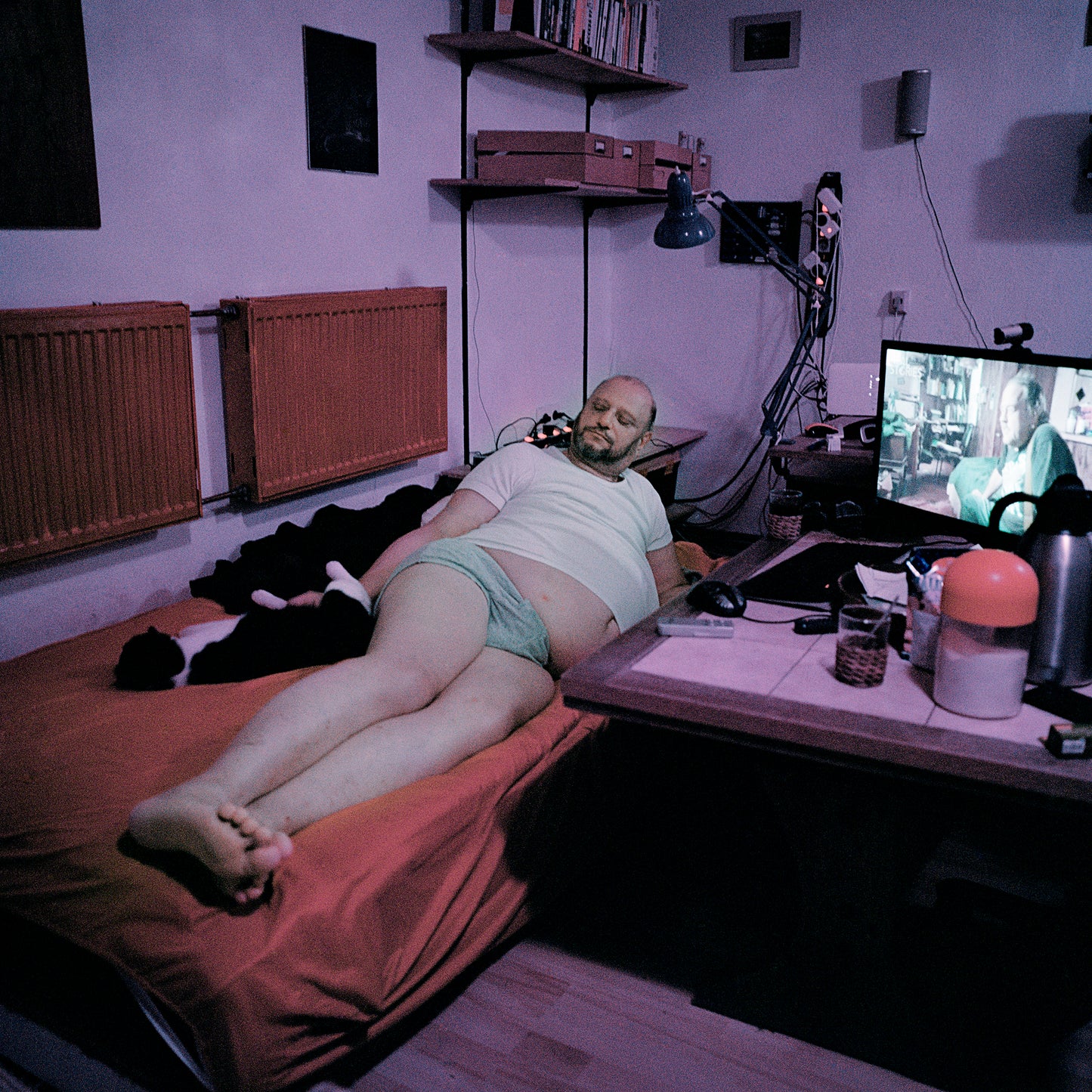 Michael and His New Love, Animals in Love