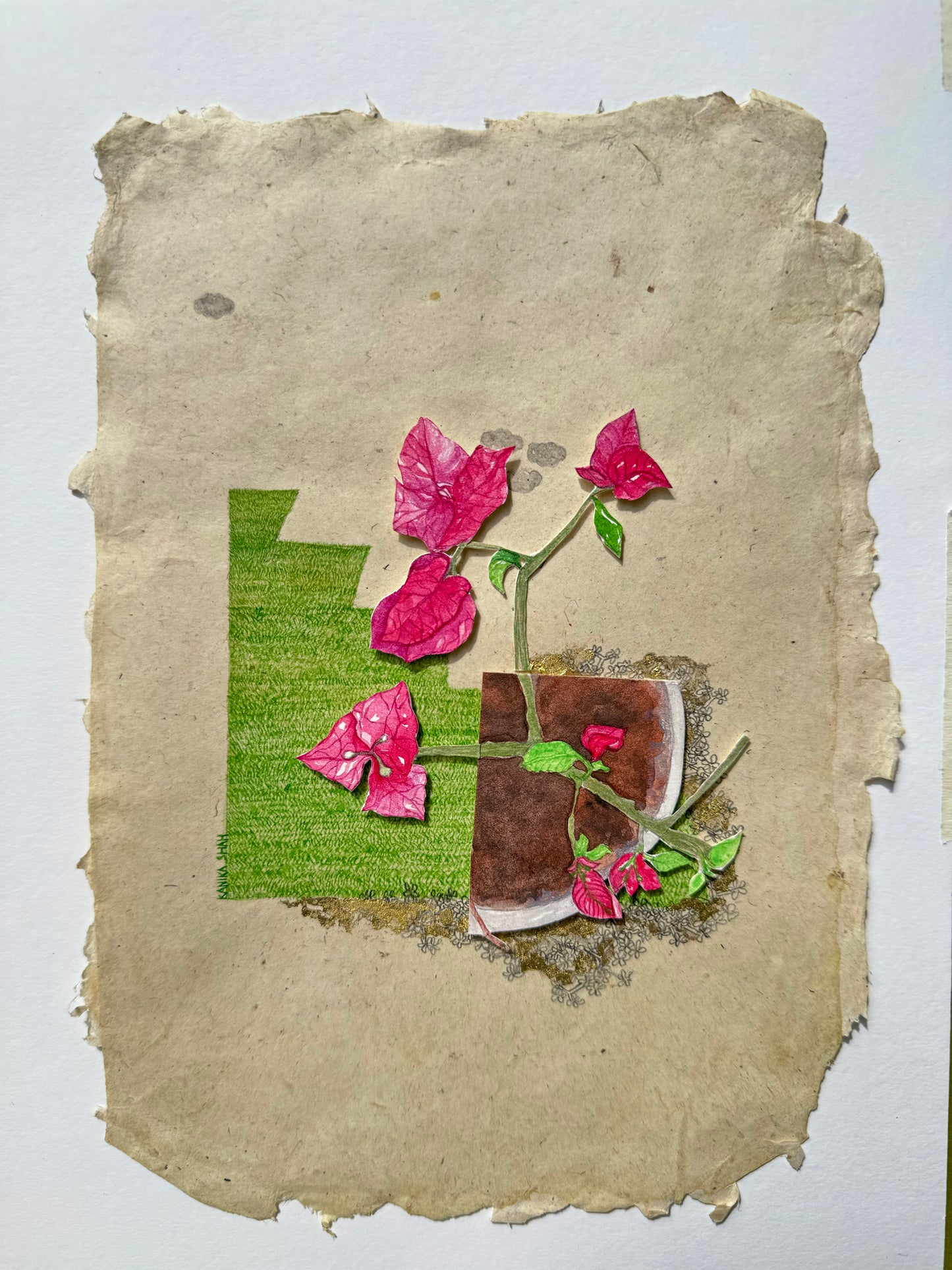 In a field of wild flowers-5