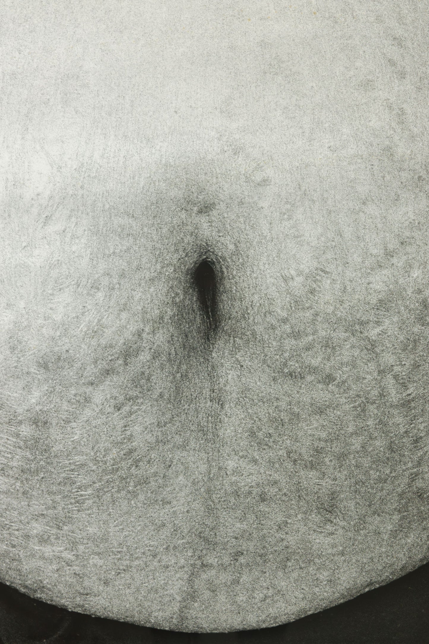 Notes to the Body I (Triptych)