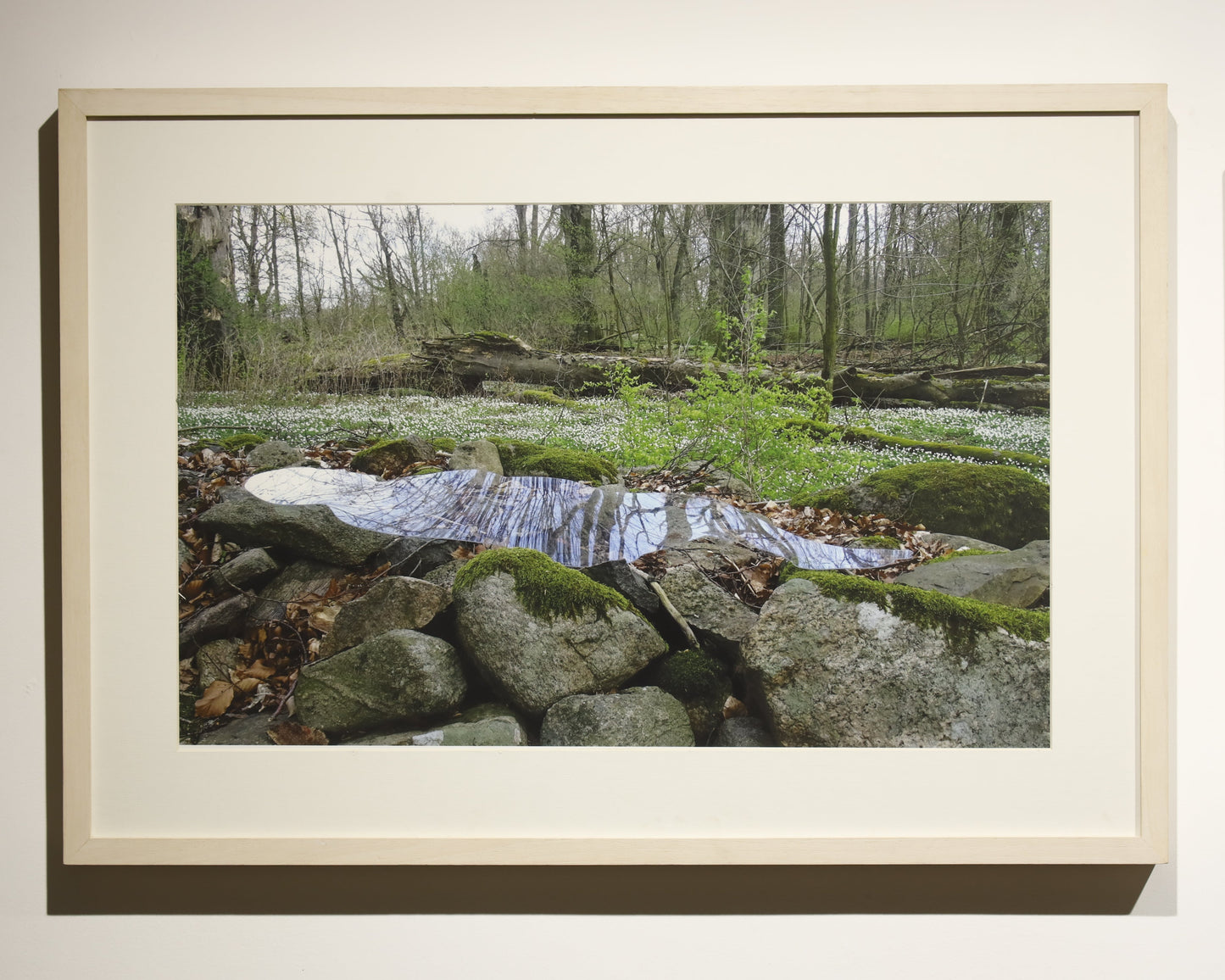 Someplace else 1 ‘मैं चमन में चाहे जहाँ रहूँ…