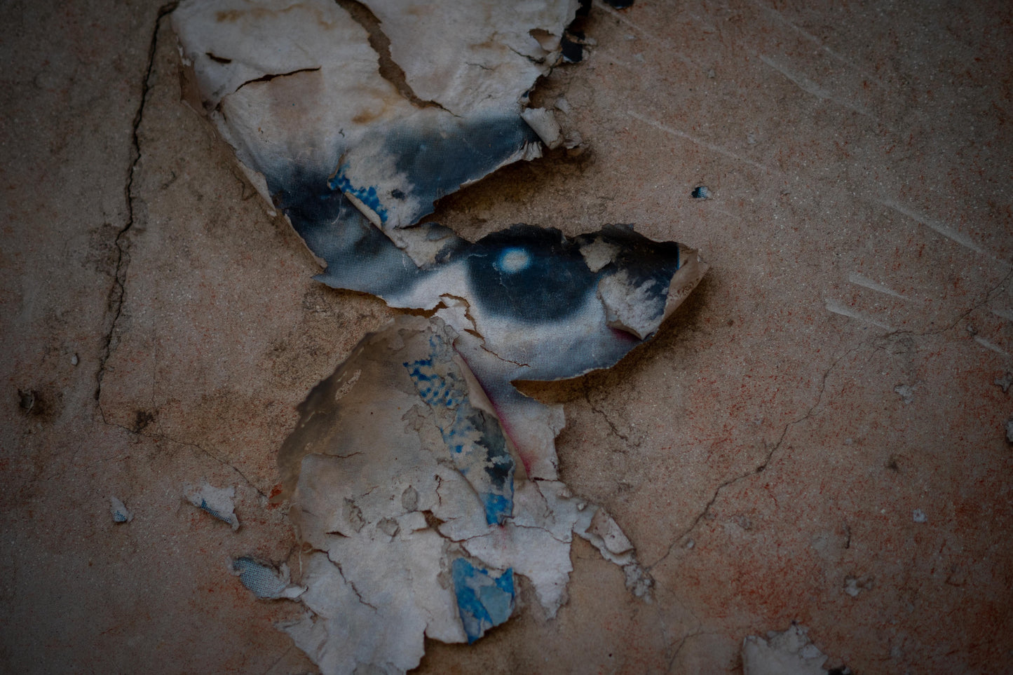 Fragments of Memory - XIII