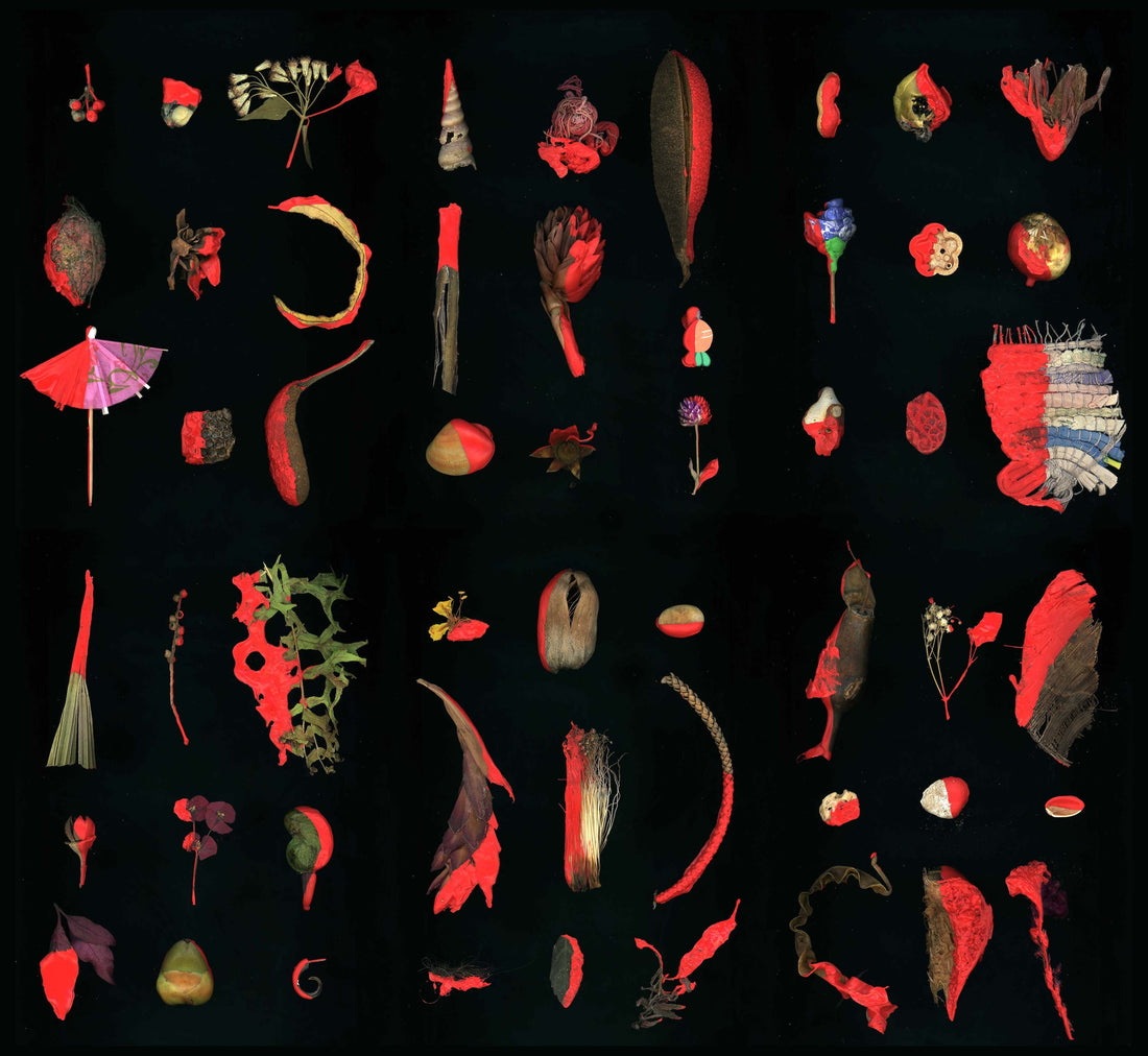 Encrypted, curated by Lina Vincent