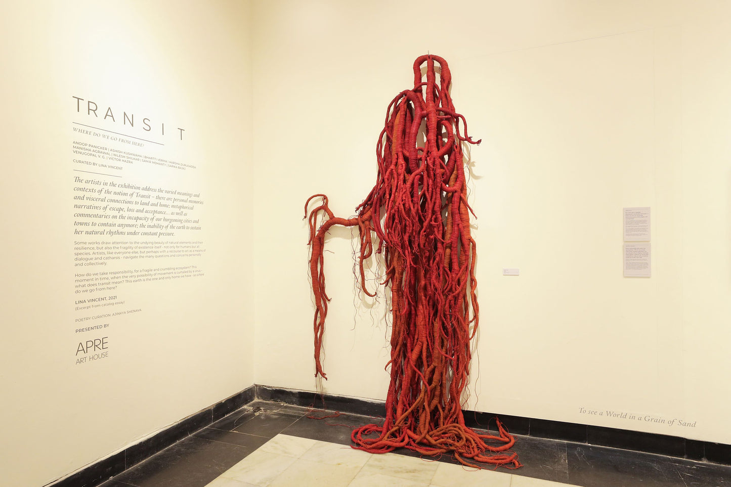 Roots