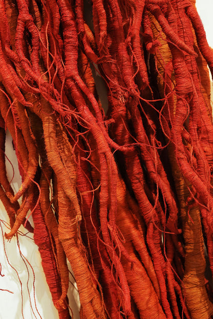Roots