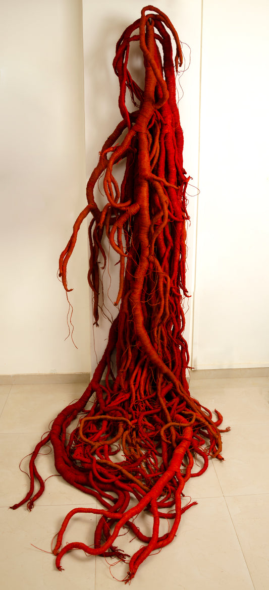 Roots