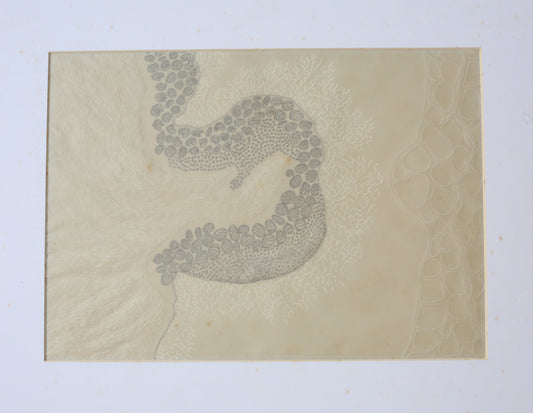 Membrane-56