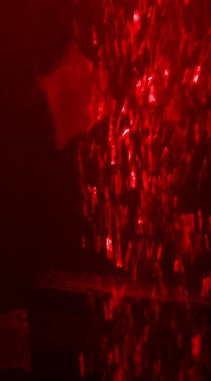 Sneak A peak
