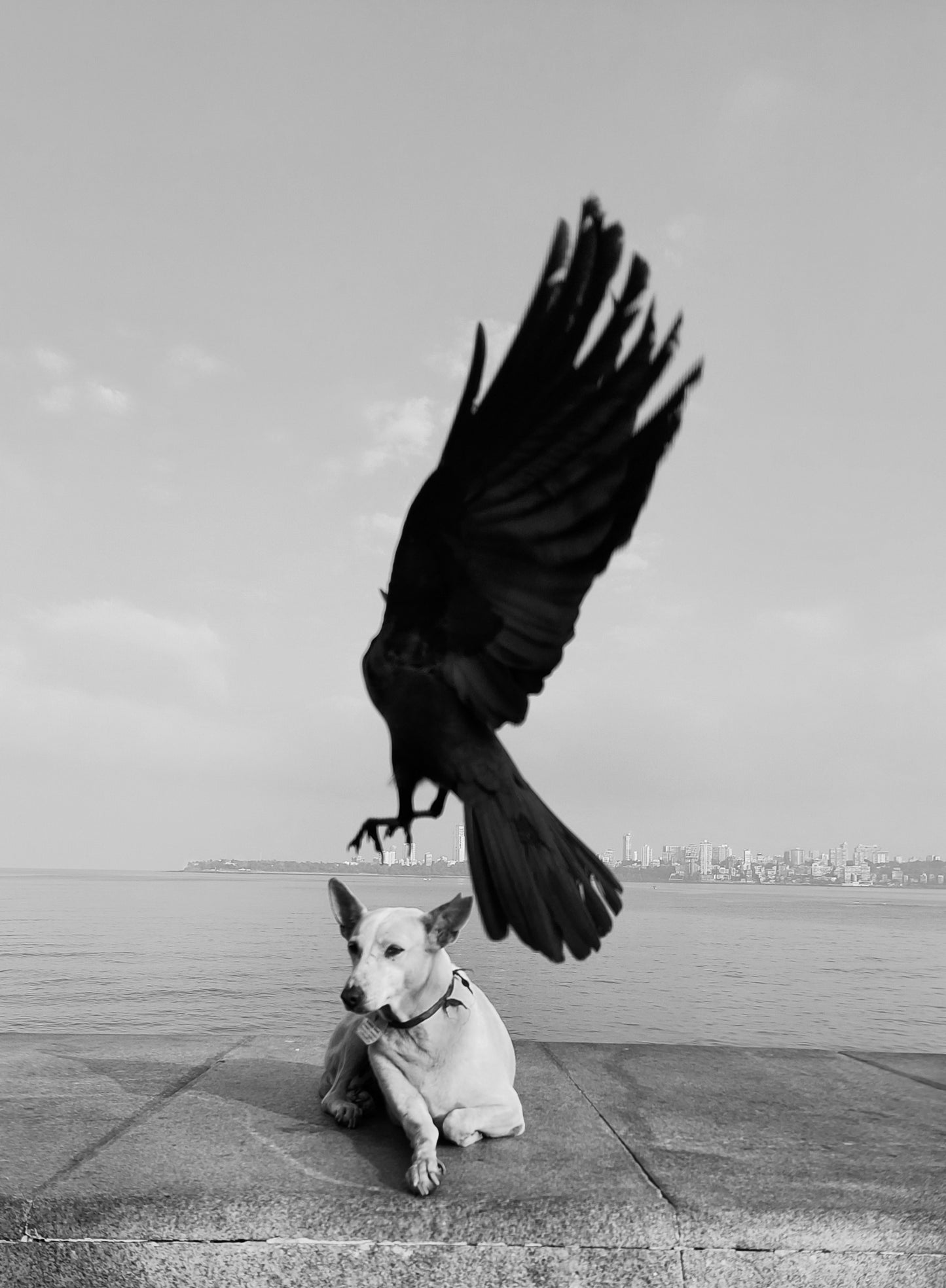 Flying By