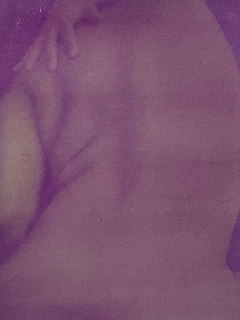 Kuvaḷai- V