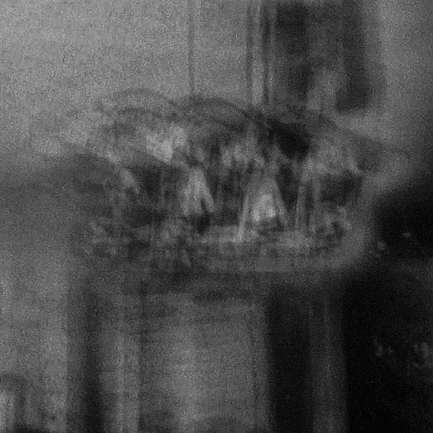 Untitled - V