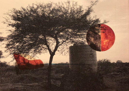 Aravalli Days I