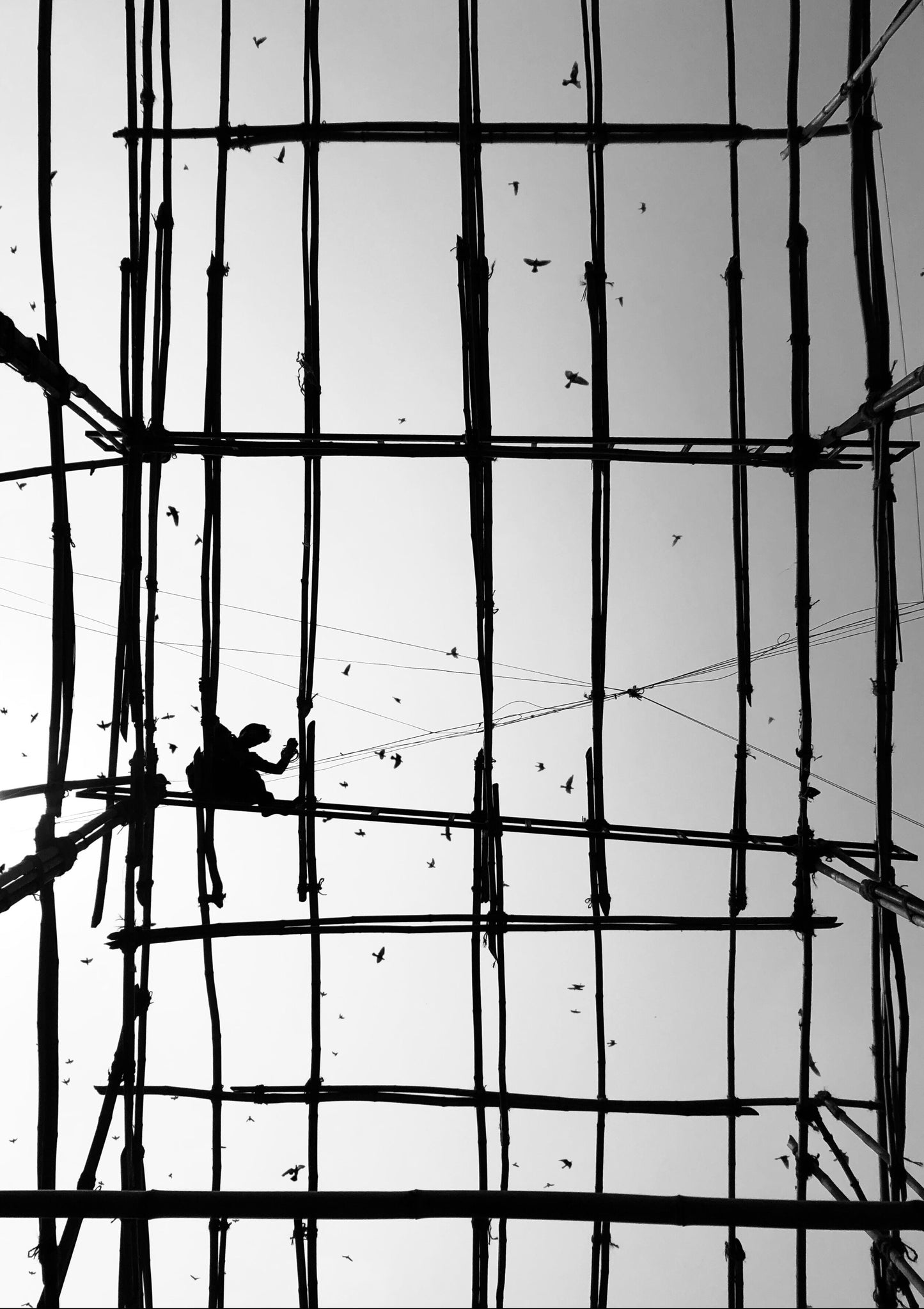 Untitled - VI