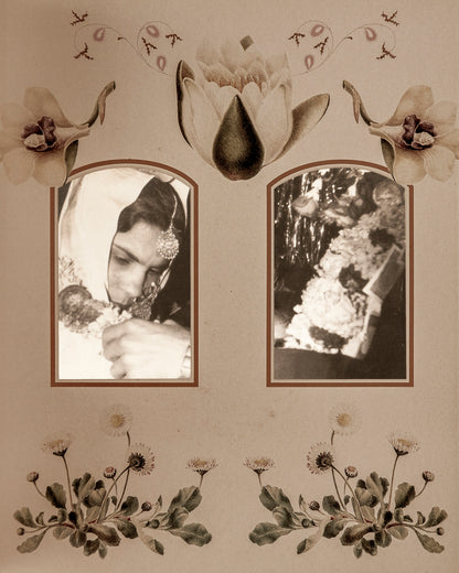 Gul  - Posh I