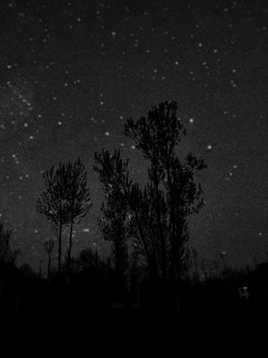 Daaera - XIV - Abraq