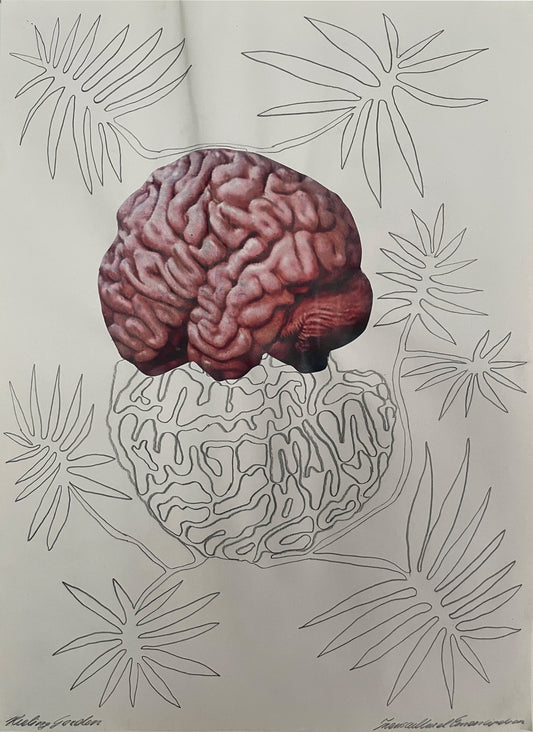 Brainflowers I