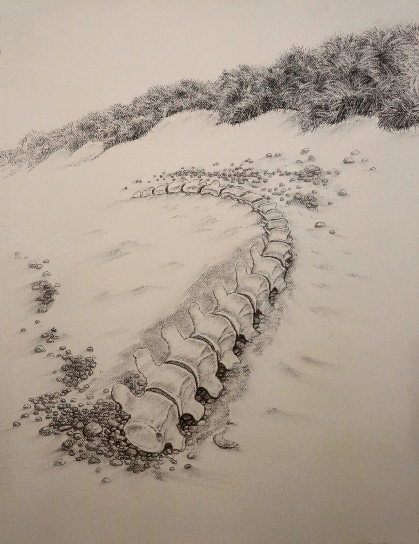 A Promised Land - II