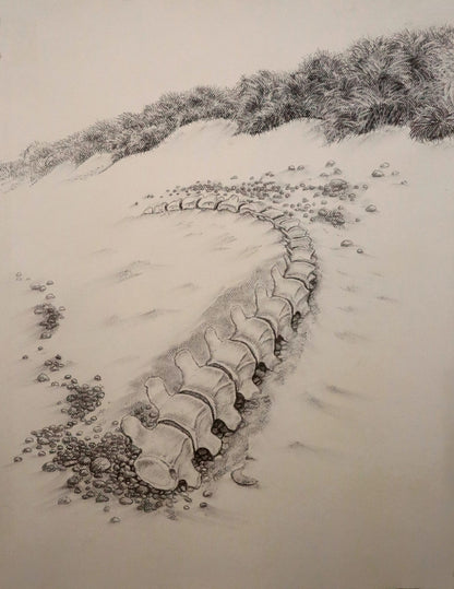 A Promised Land - II