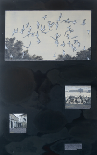 From the Eastern  Mirror II - II