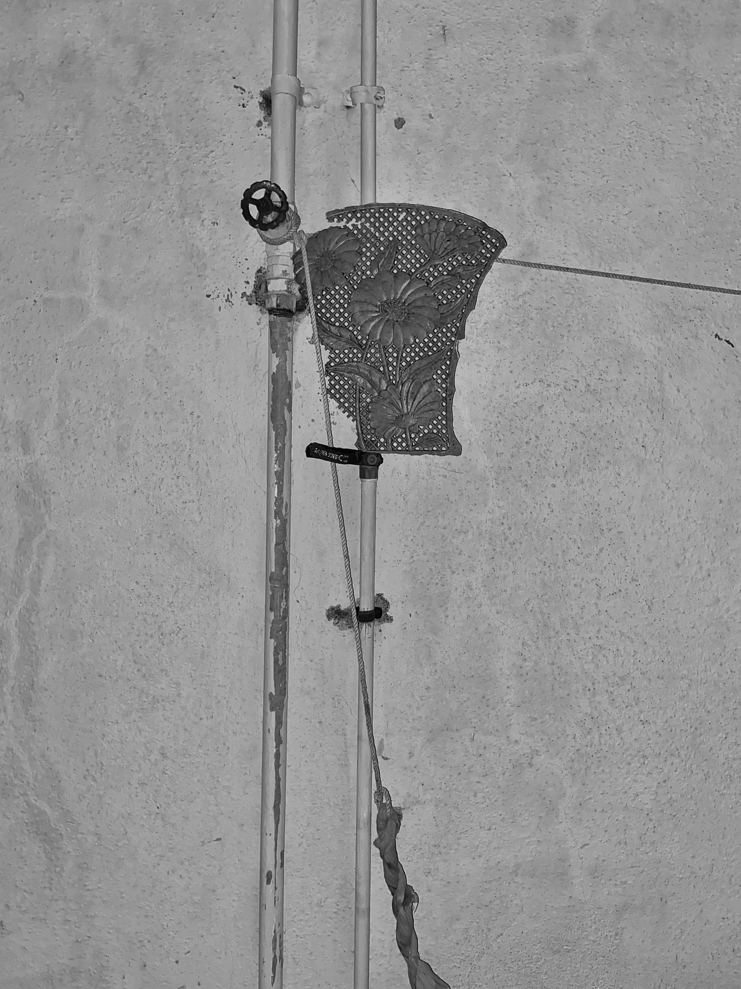 Touch, probe, belong - 9