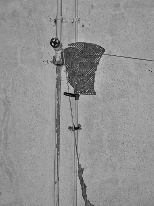 Touch, probe, belong - 9