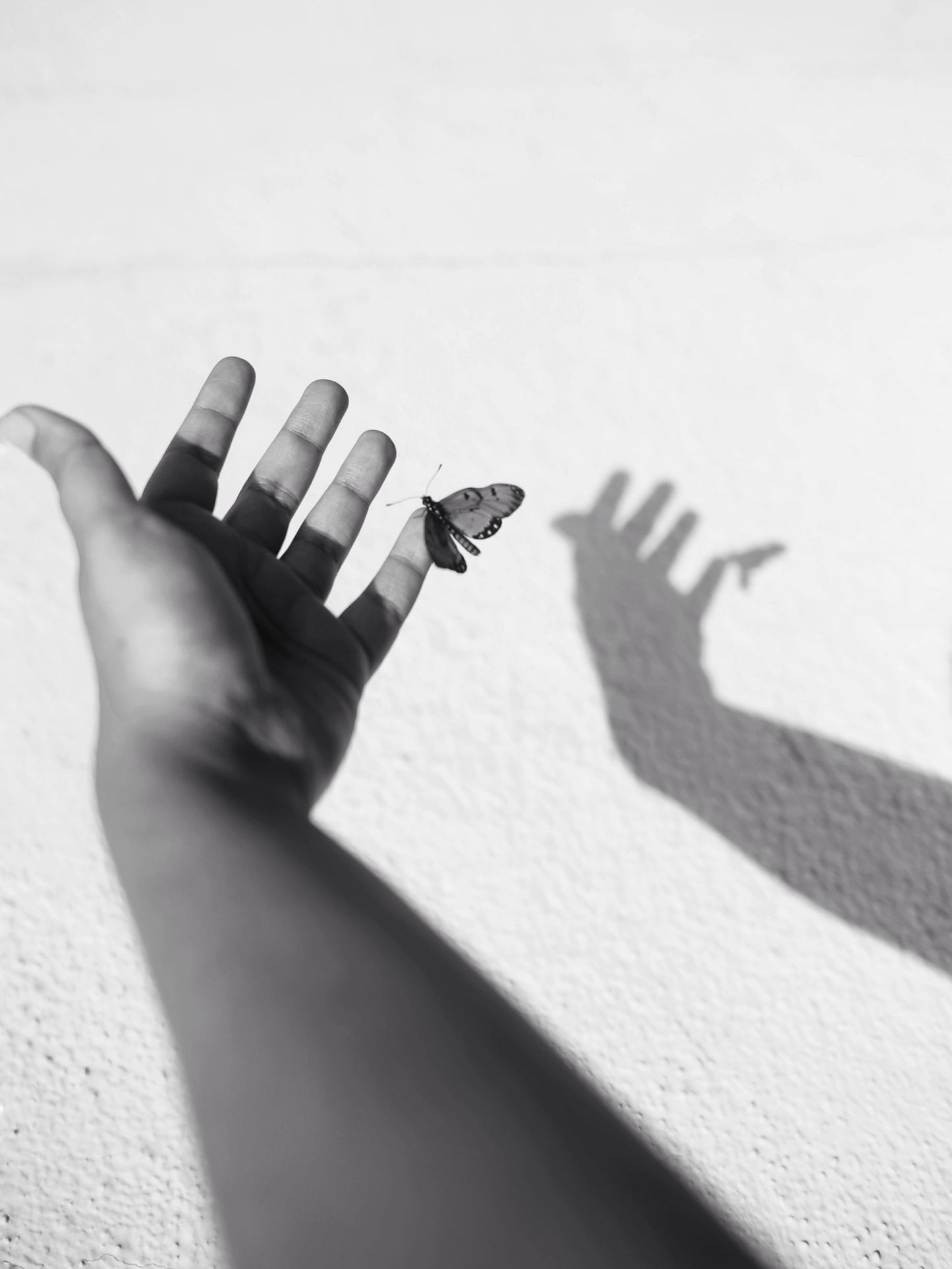 Touch, probe, belong - 10