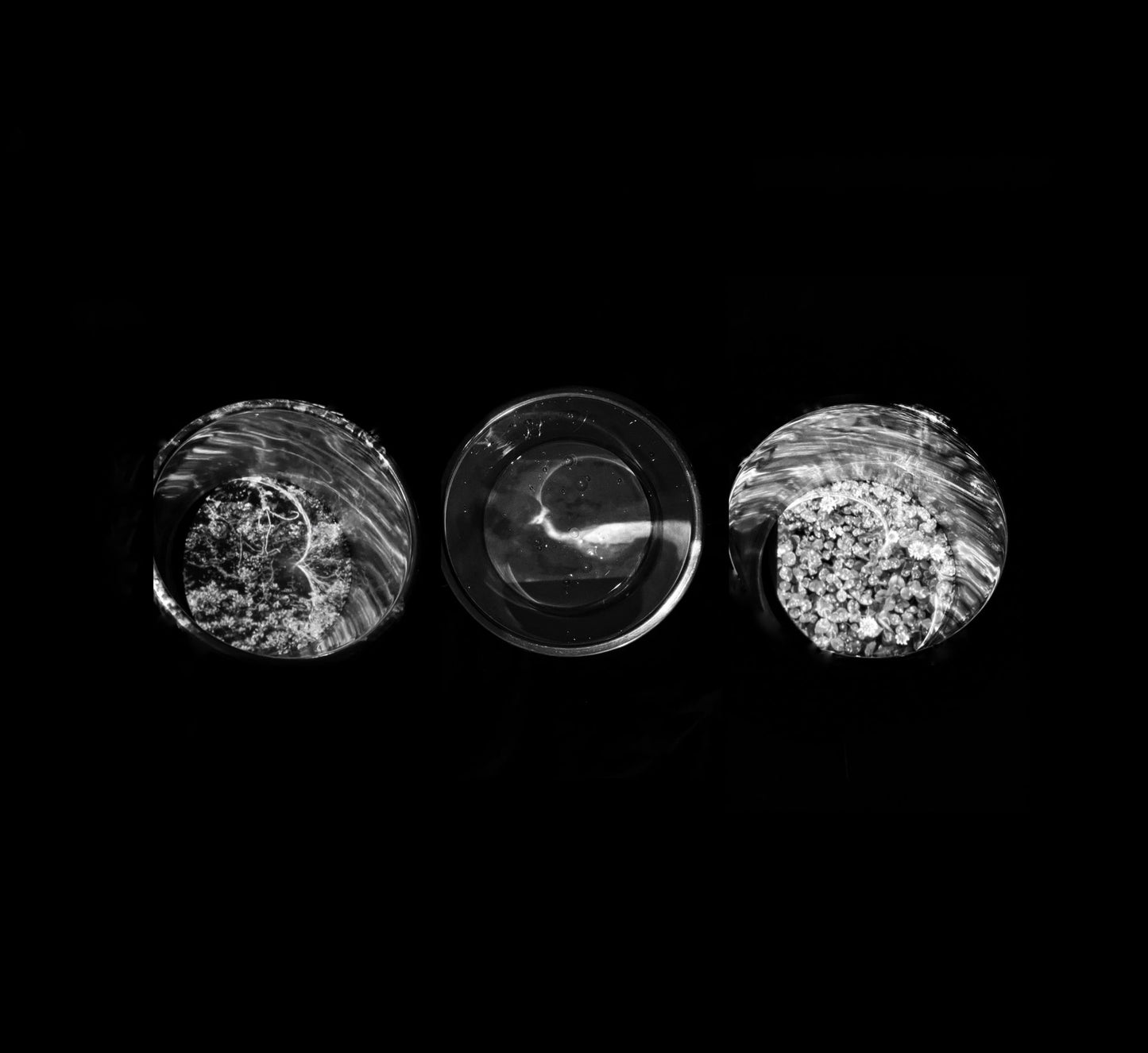 Touch, probe, belong - 8