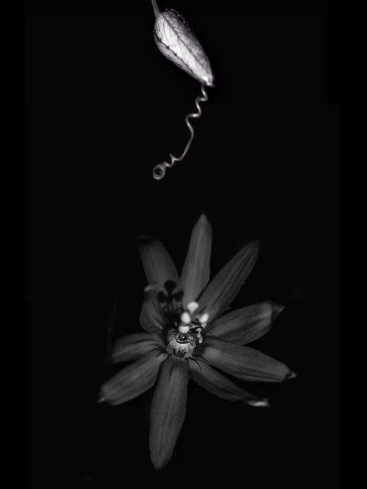 Touch, probe, belong - 3