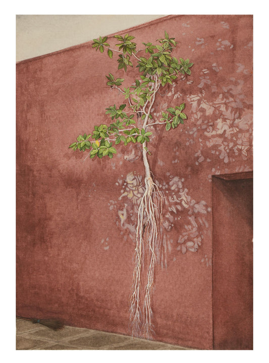Living wall