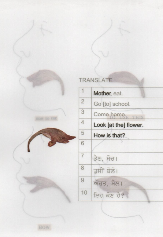 Set II ( Pages From An Unbound Book)