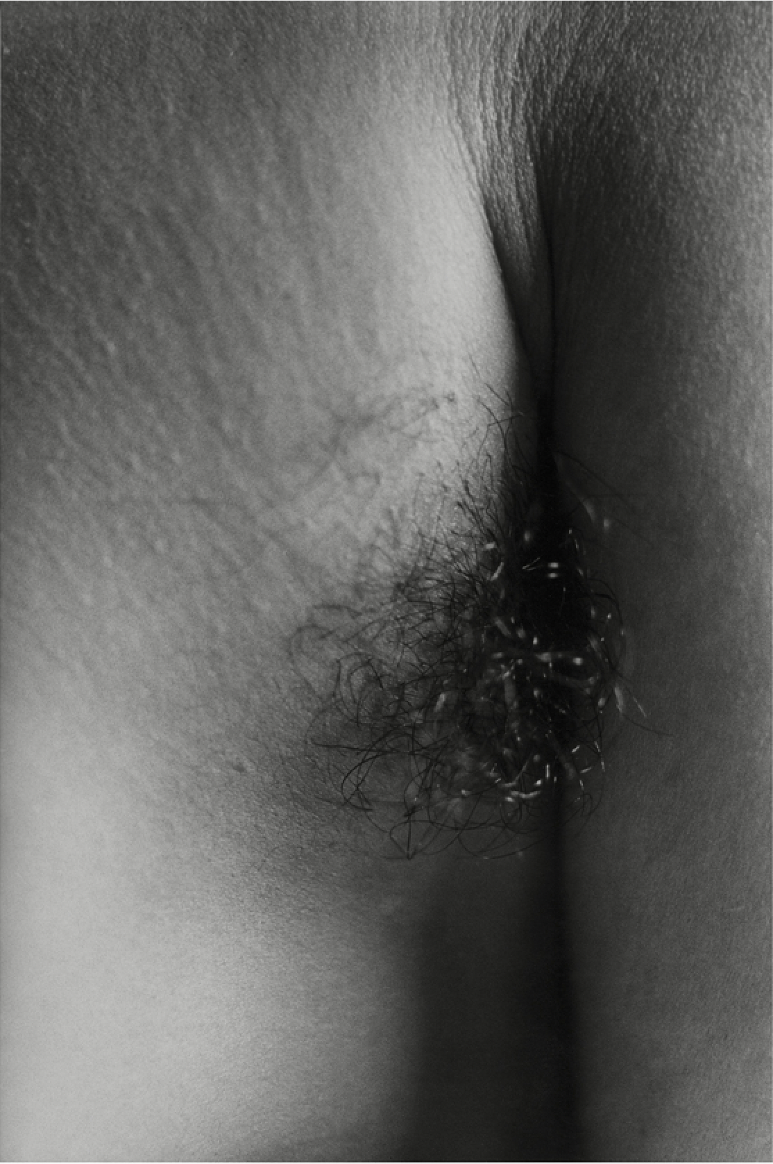 Notes to the Body II (Triptych)