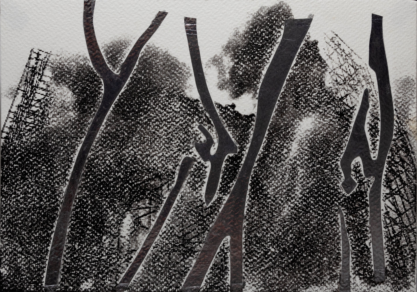 INFERENCE OF THE VITRUVIAN MAN
