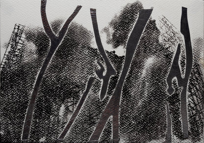INFERENCE OF THE VITRUVIAN MAN