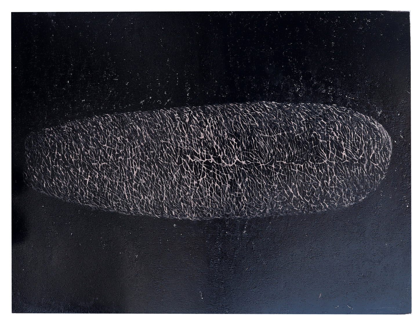 Black Organ