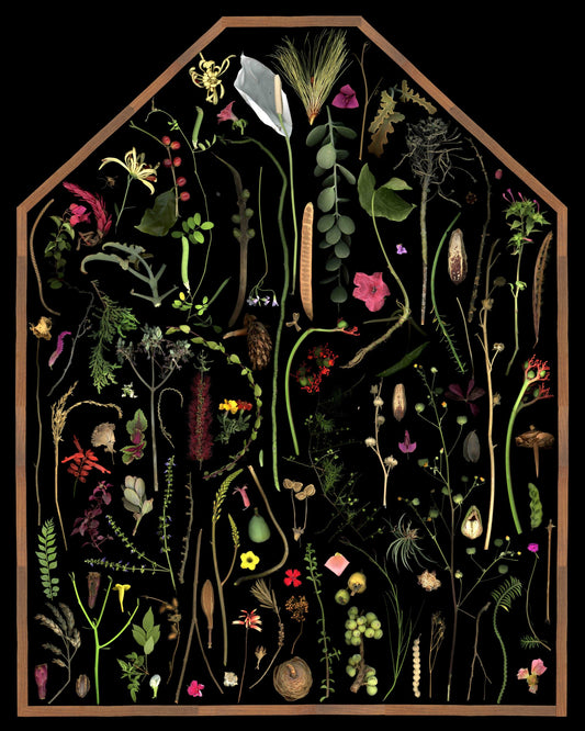My Pleasure Garden